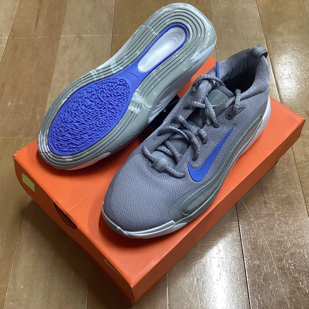 シューズ(男性用) NIKE ISOFLY(GS) 002 24.0cm