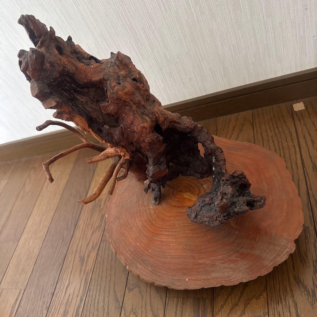 自然木の置