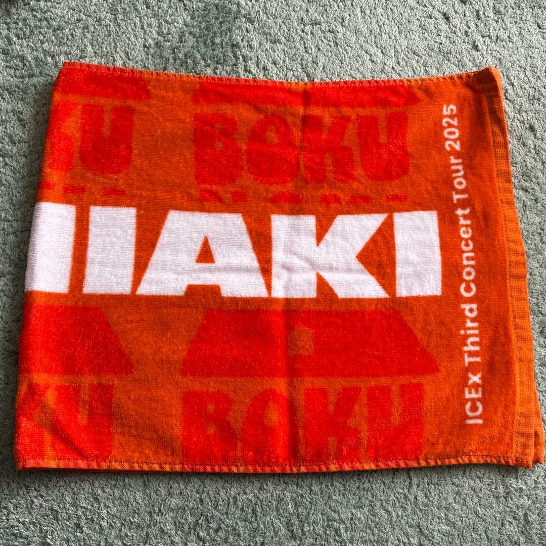ICEx 筒井俊旭 ぬいぐるみ タオルセット