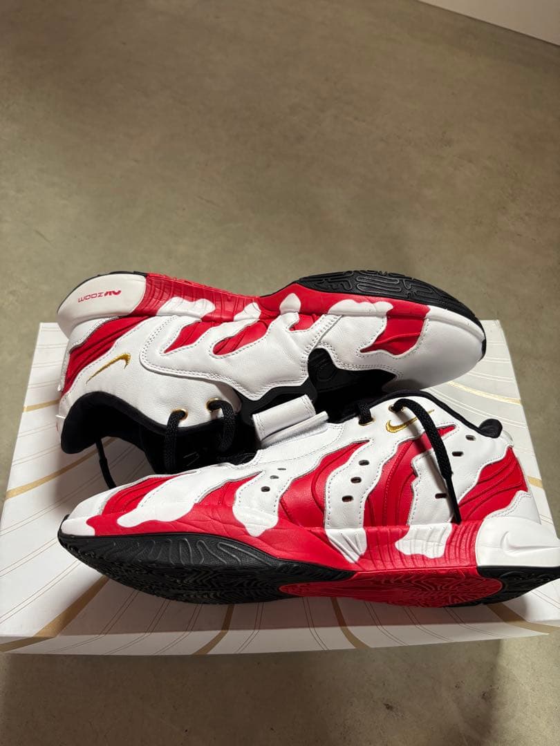 Nike レブロン　PRIME96 EP 29 US11