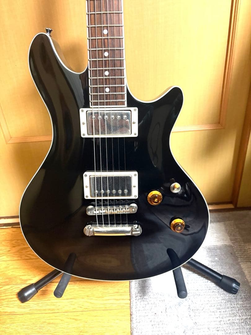 EDWARDS E-PO-100D Seymour Duncan PU搭載