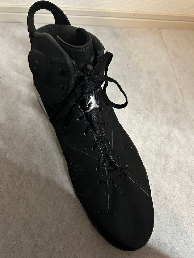 【36cm・超特大】Nike Air Jordan 6 メタリックシルバー