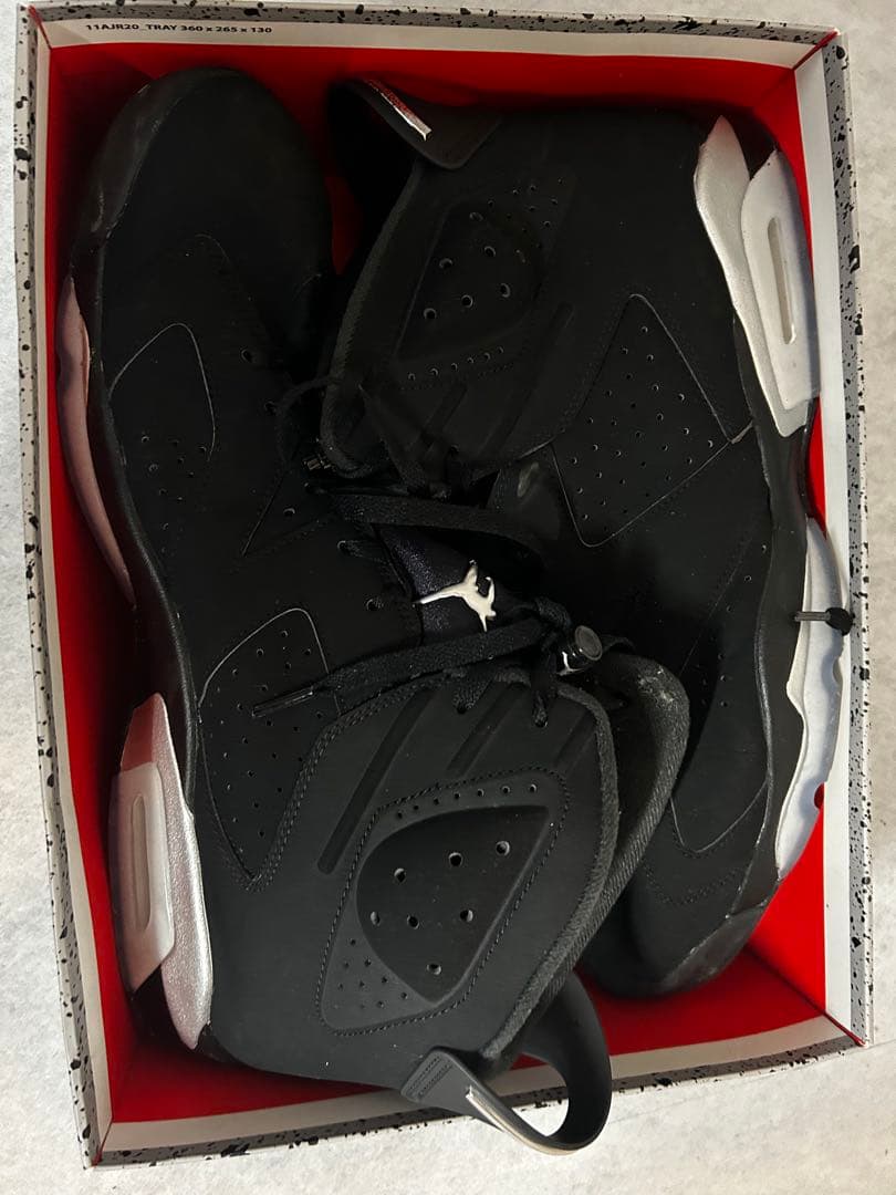 【36cm・超特大】Nike Air Jordan 6 メタリックシルバー