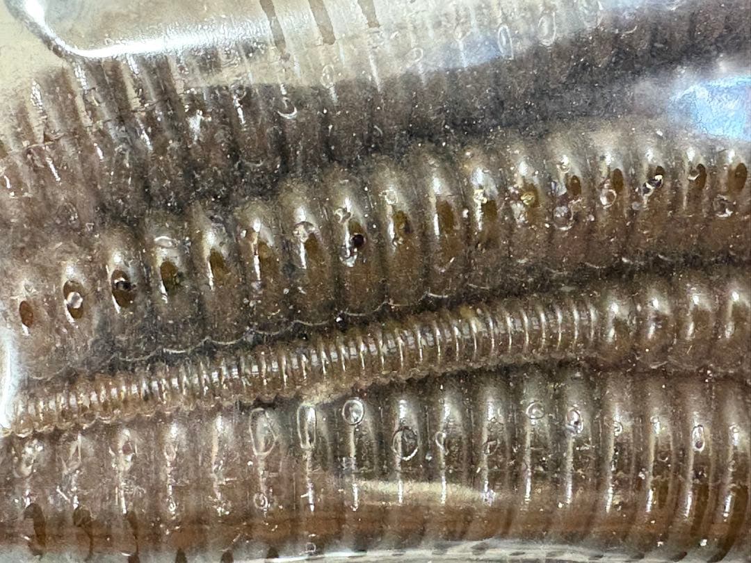 DEPS デスアダー 6インチ×12