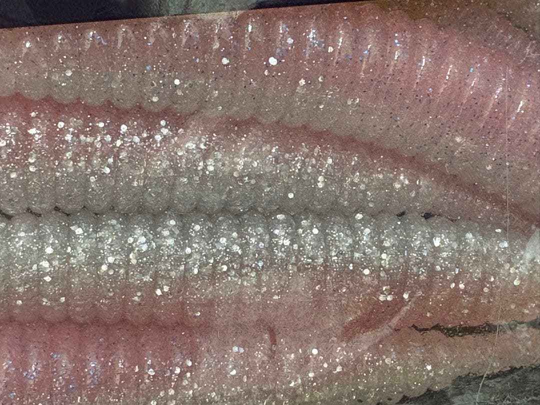 DEPS デスアダー 6インチ×12