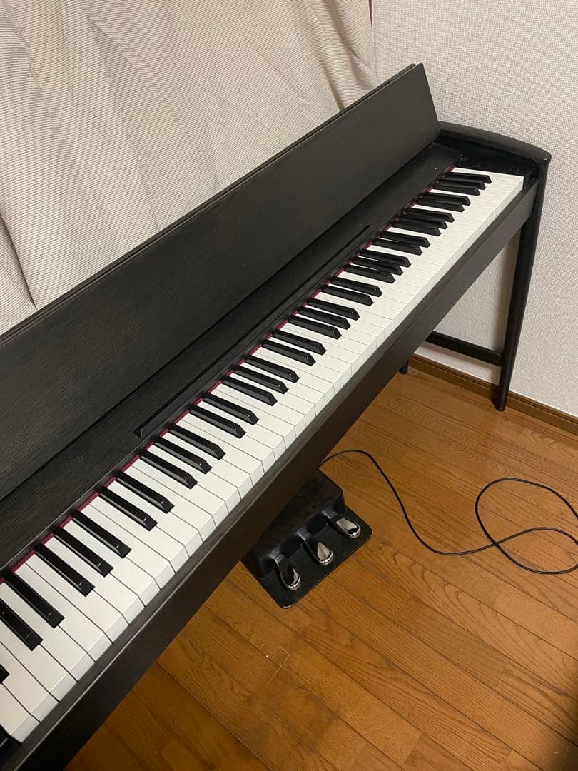 【限定色 木目ブラック】Rolandきよら