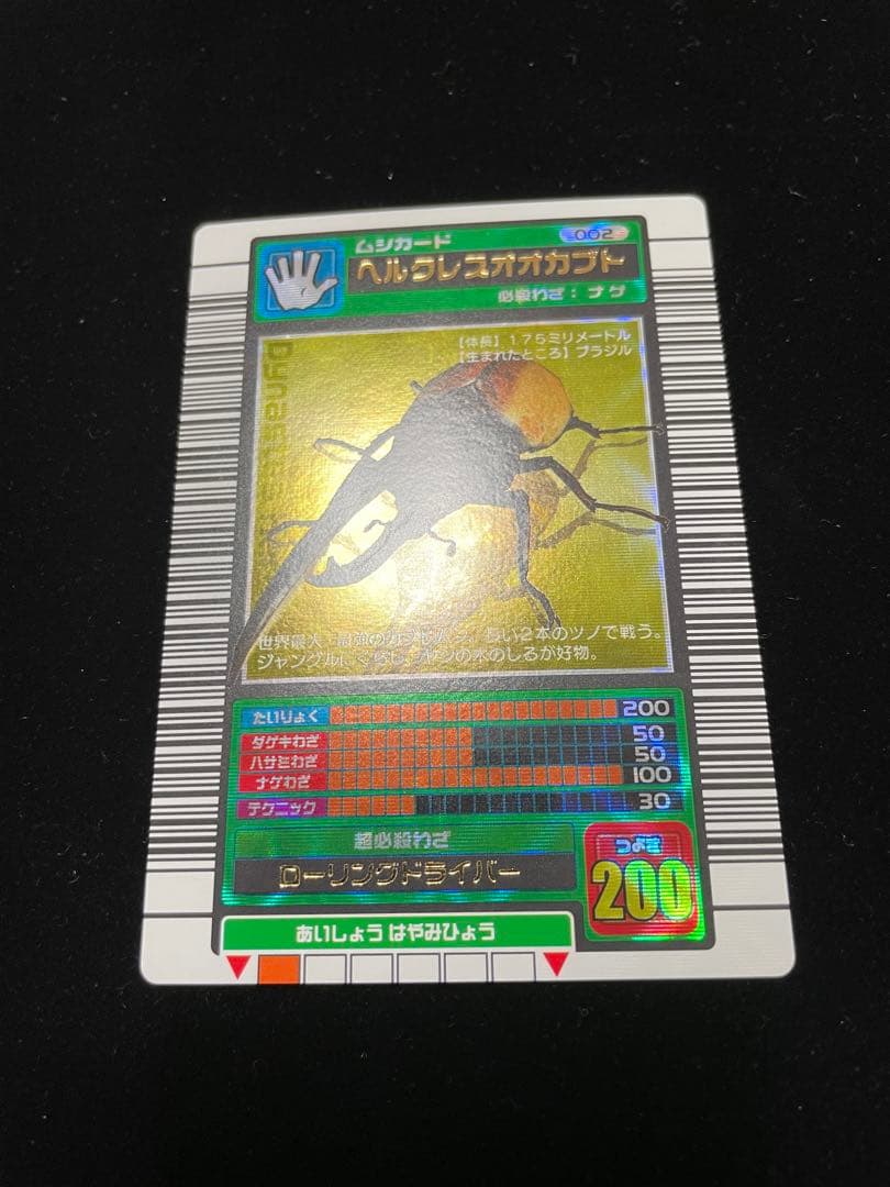 ヘルクレスオオカブト2003春後期学名黒