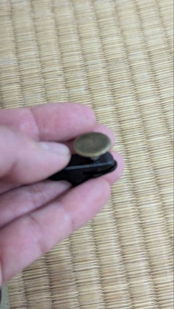 ルーマニア軍 アメーバカモ　2枚