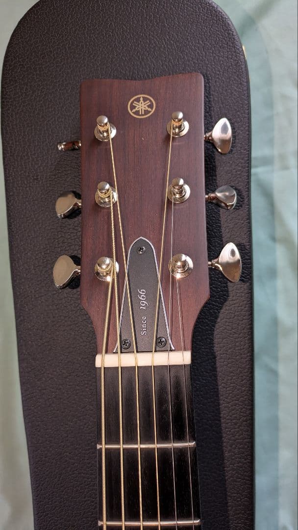 専用　　YAMAHA FGX5 red label series 極美品