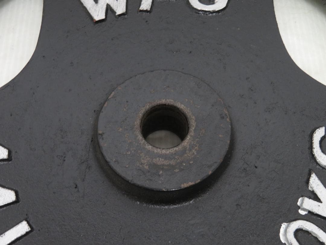 WFG ワイルドフィット アイアンプレート 20kg レギュラー 穴径28mm①