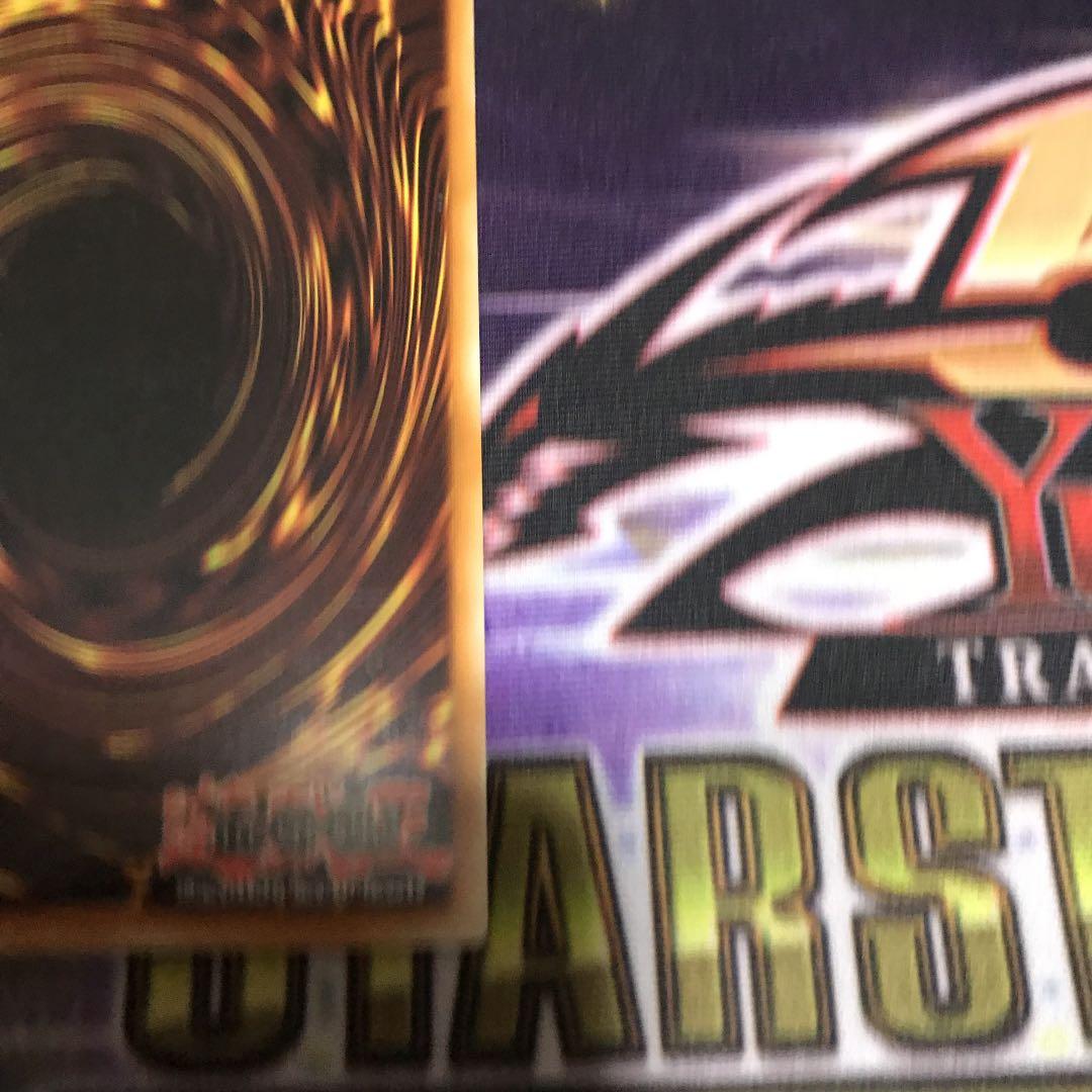 遊戯王 ブラック・ローズ・ドラゴン　フランス語　シークレット