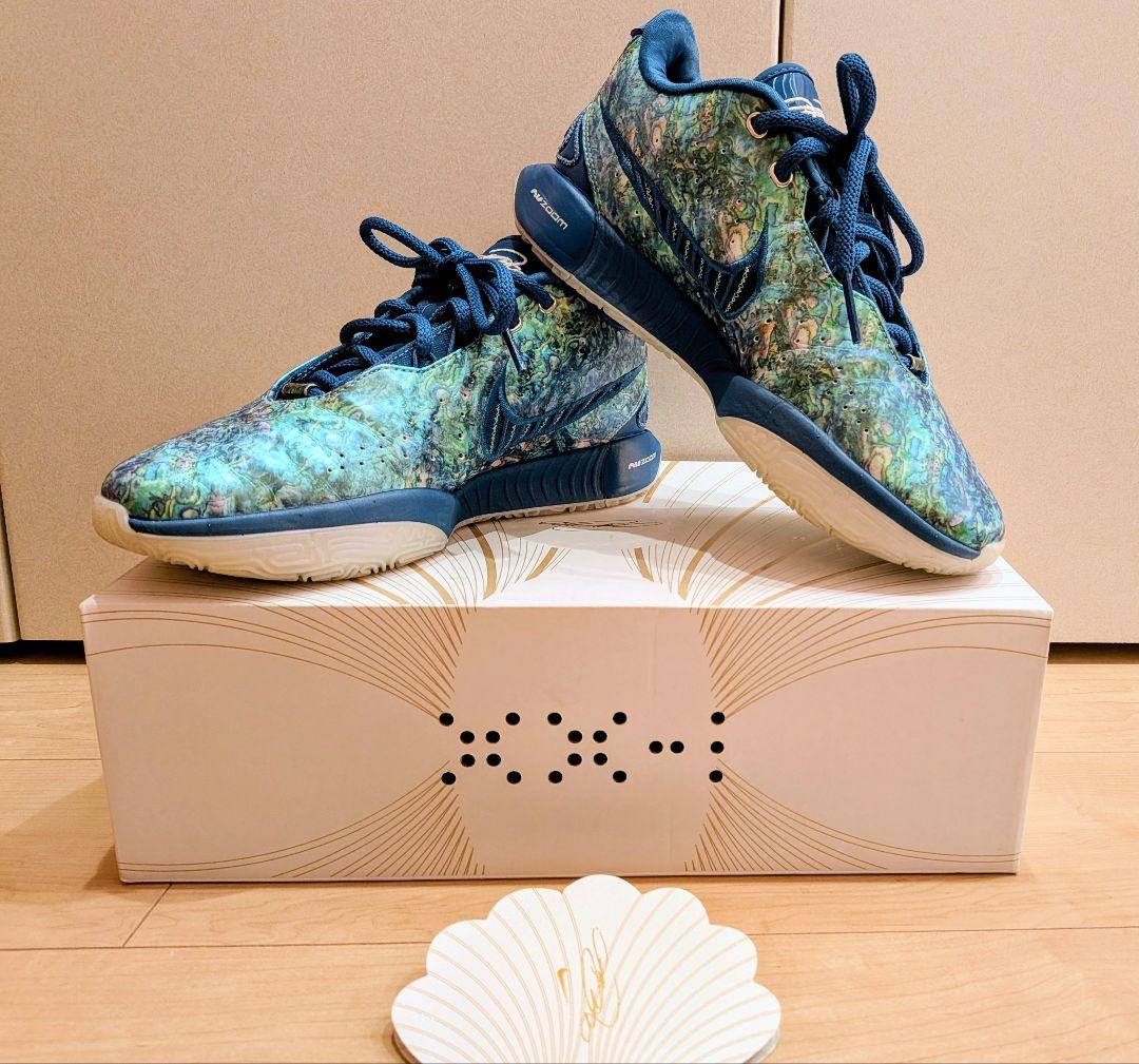 【ほぼ未使用】Lebron21 25.5cm US 7.5