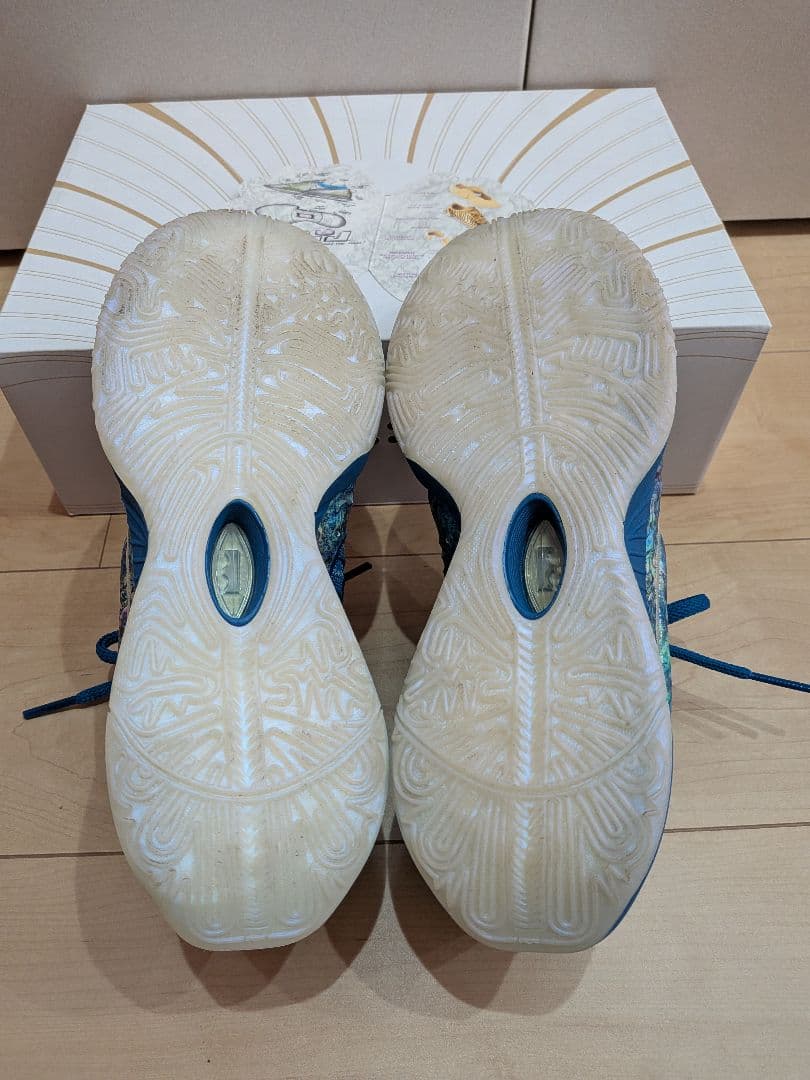 【ほぼ未使用】Lebron21 25.5cm US 7.5