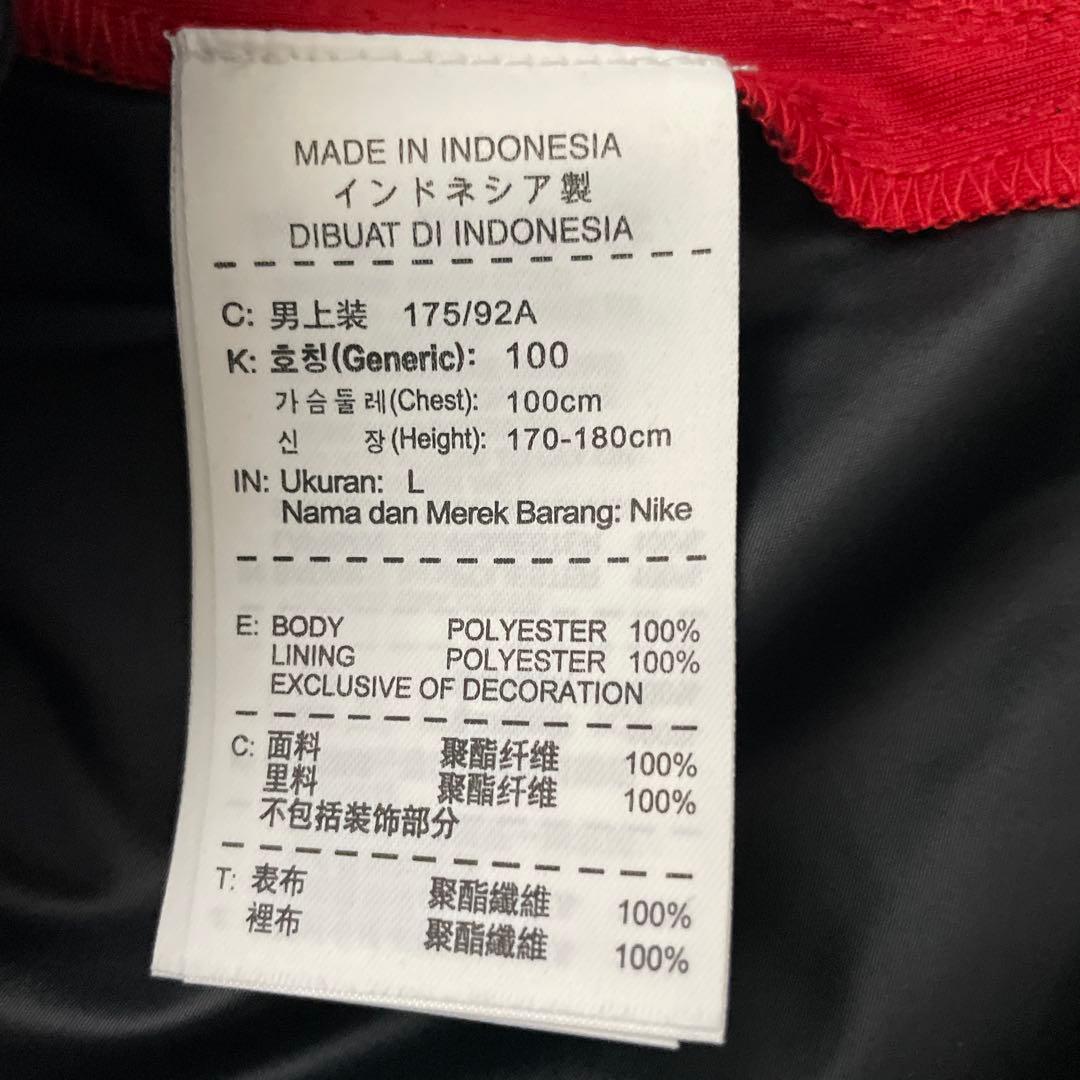 NIKE ナイロン セットアップ L M ランニング ウインドブレーカー 上下