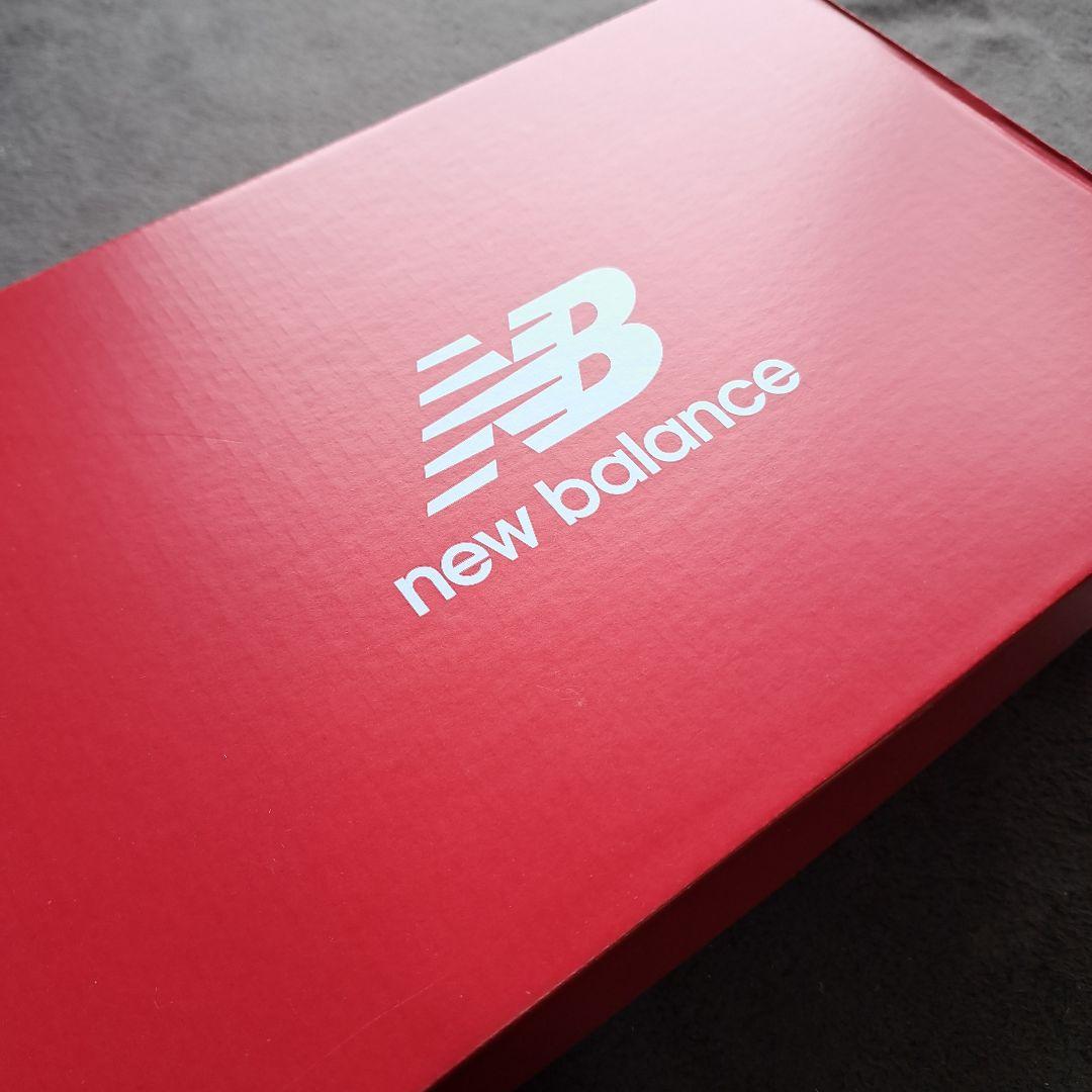 【美品 走行少】29.0cm/幅広4E New Balance 1080 v15