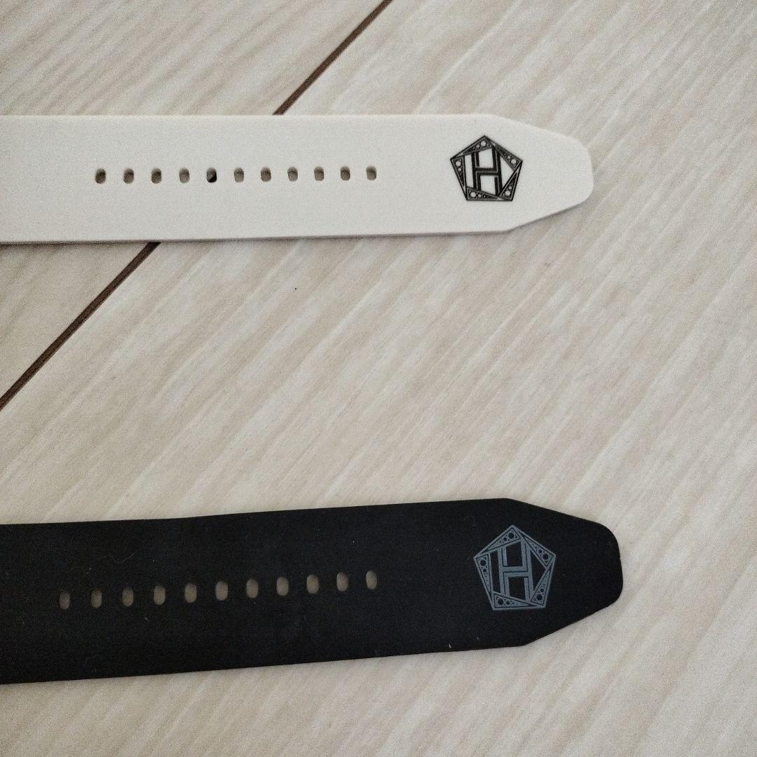 TEAM H グンサギアームペンライト