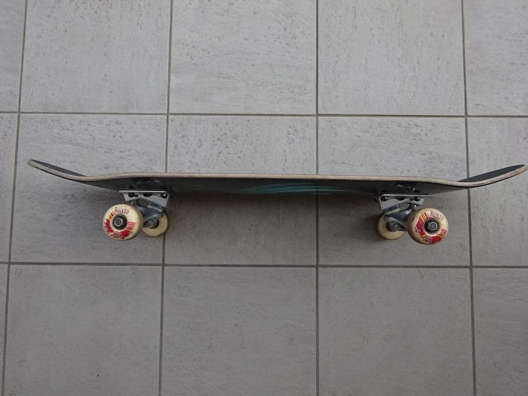 POWELL PERALTA FLIGHT パウエル　フライトコンプリート