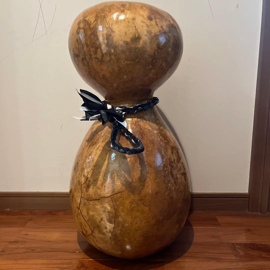 イプヘケ　67cm カウラ付き　ハワイ直輸入　新品