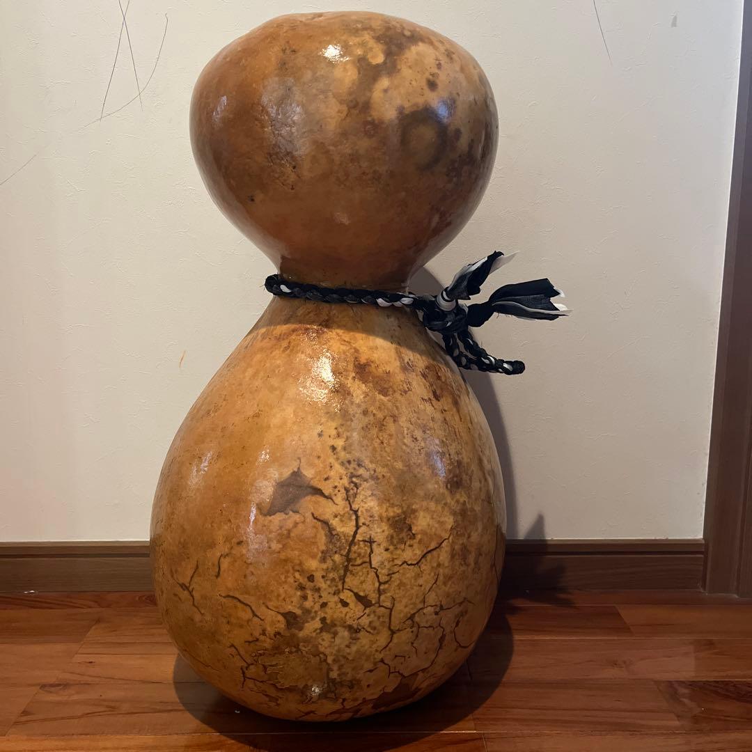 イプヘケ　67cm カウラ付き　ハワイ直輸入　新品