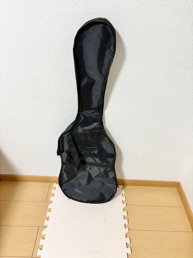 良品 SELDER エレキギター初心者セット