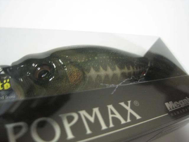 メガバス　Megabass POPMAX STURGEON チョウザメ 新品