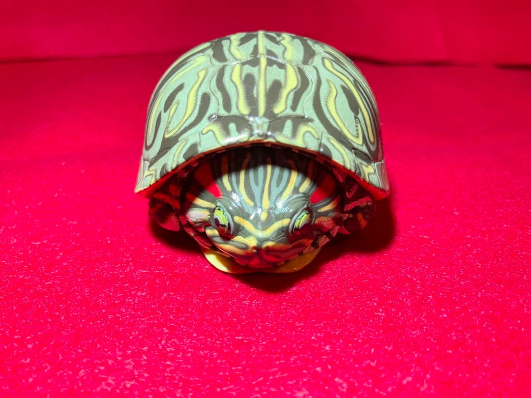 動物の惑星　廃盤　ミシシッピアカミミガメ