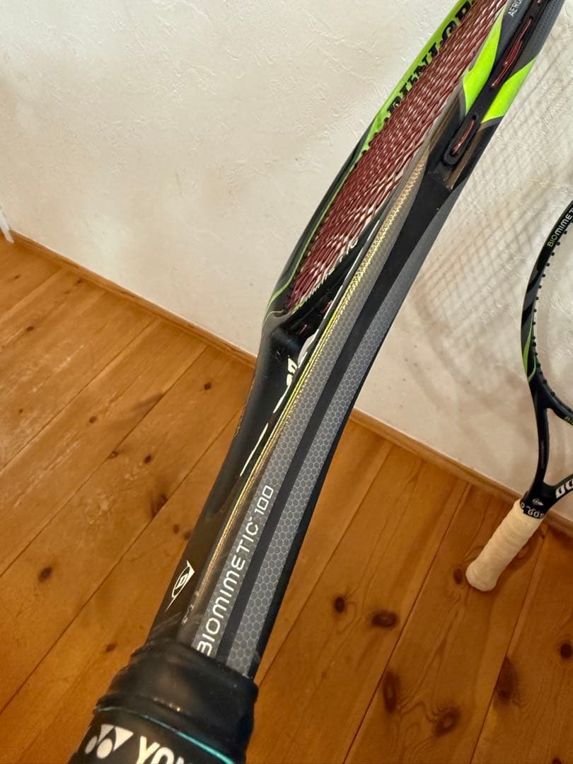 DUNLOP BIOMIMETIC 100【2本セット】