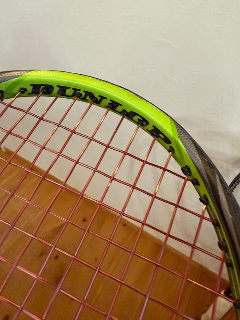 DUNLOP BIOMIMETIC 100【2本セット】