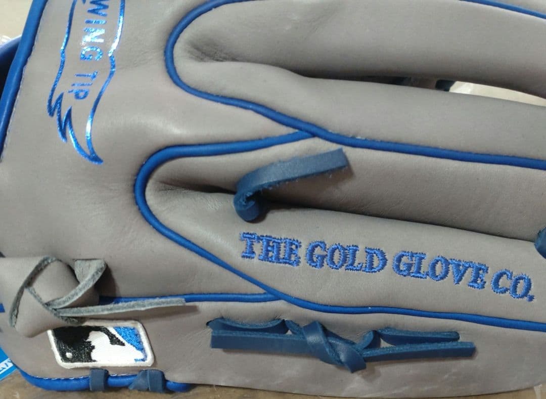 新品未使用Rawlingsローリングス グローブ 軟式