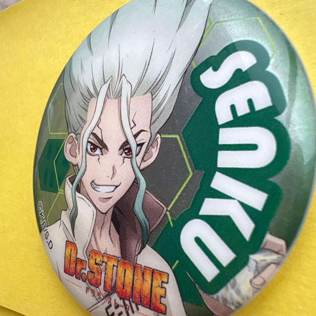 石神千空 缶バッジ 「Dr.STONE」