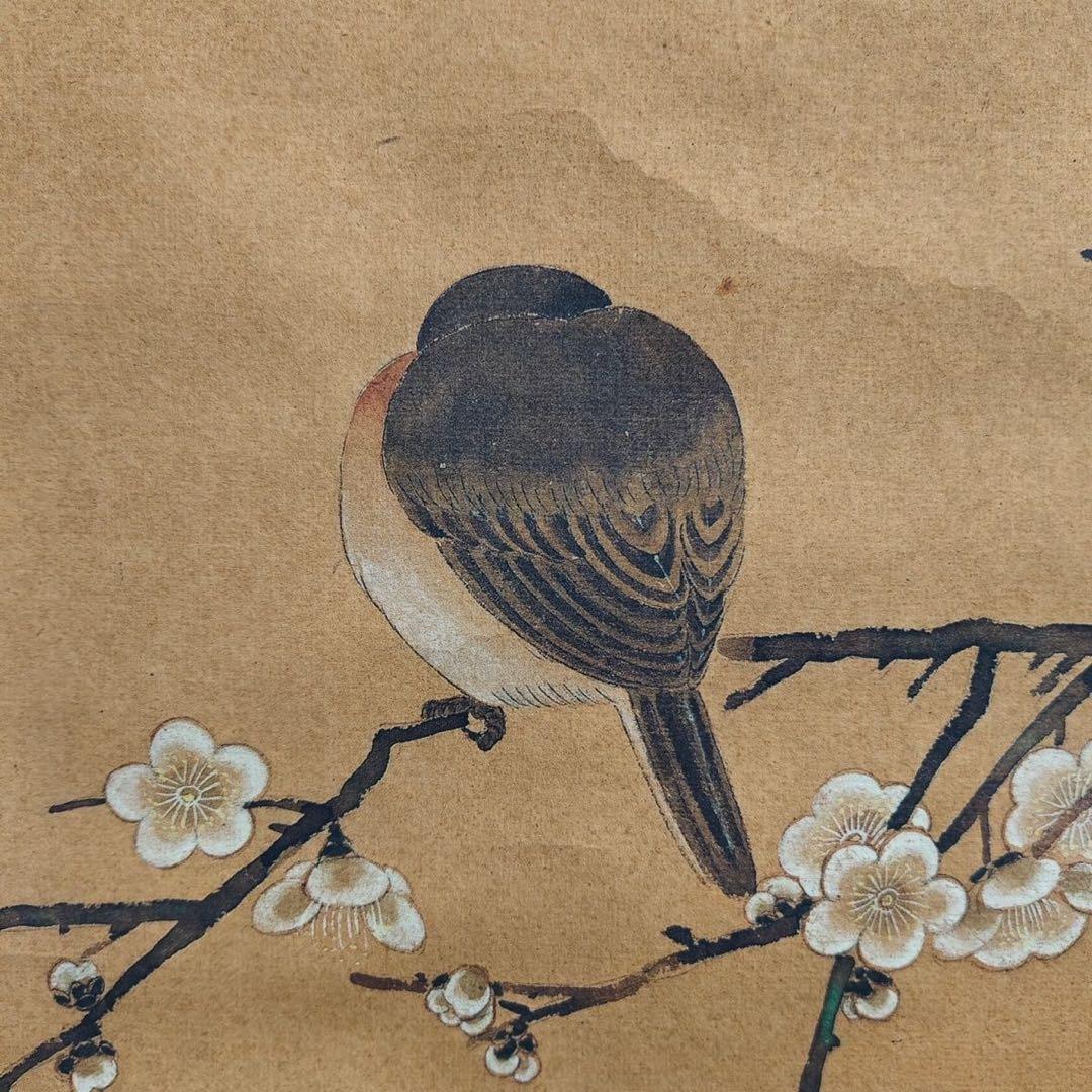 余省 花鸟 中国画 掛け軸 水墨画 和室 玄関 茶室 壁掛け 美術品