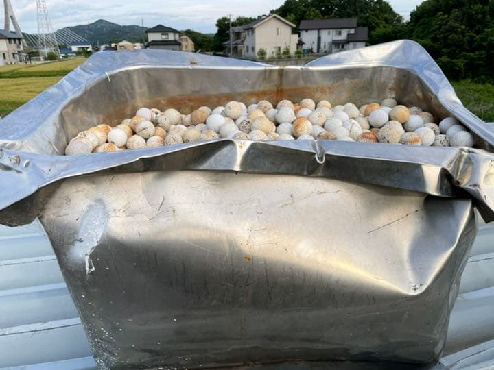 ロストボールいっぱい　ゴルフ　ゴルフボール　ジャンク扱い