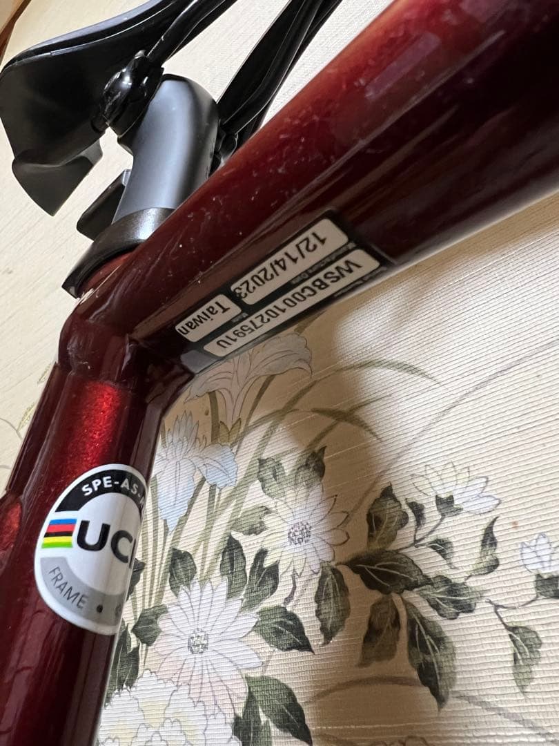 アレースプリント　ALLEZ SPRINT FRAME +105機械式12速