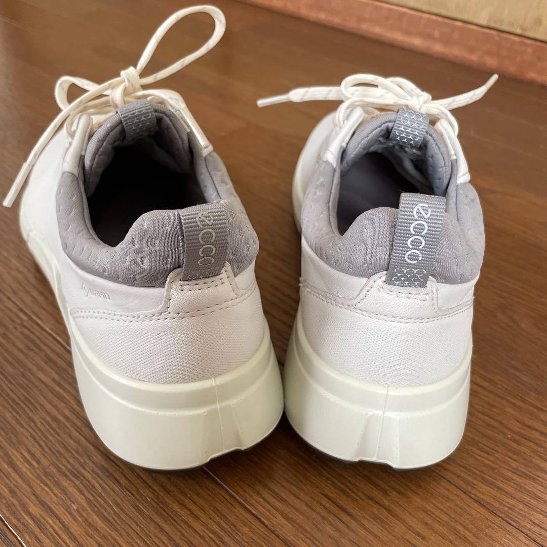 エコー　ecco ゴルフシューズ　レディース　36