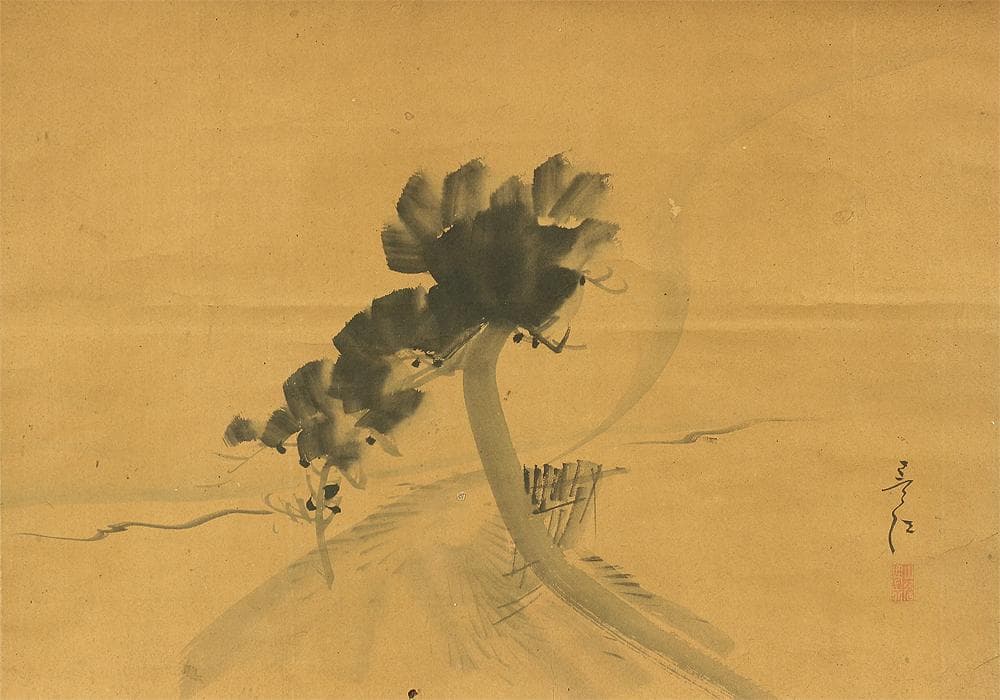 山田雪塘 広島 四条派 掛軸 肉筆 松之図 紙本