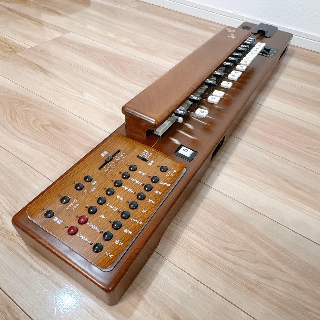 ✨良品✨ SUZUKI TES-100 電気大正琴 ハードケース付き 正常動作品
