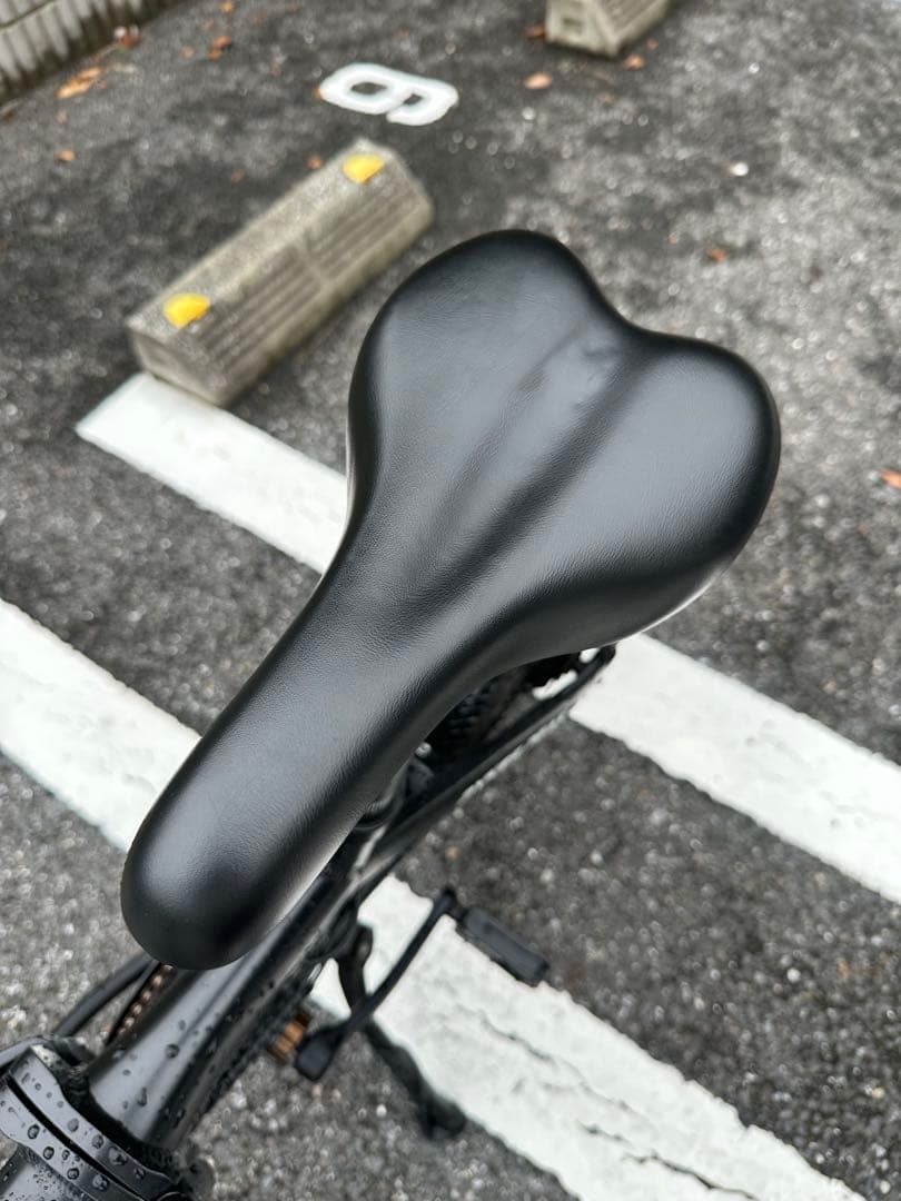 【送料込み❗️】PYKES PEAK X20（電動アシスト折りたたみ自転車）