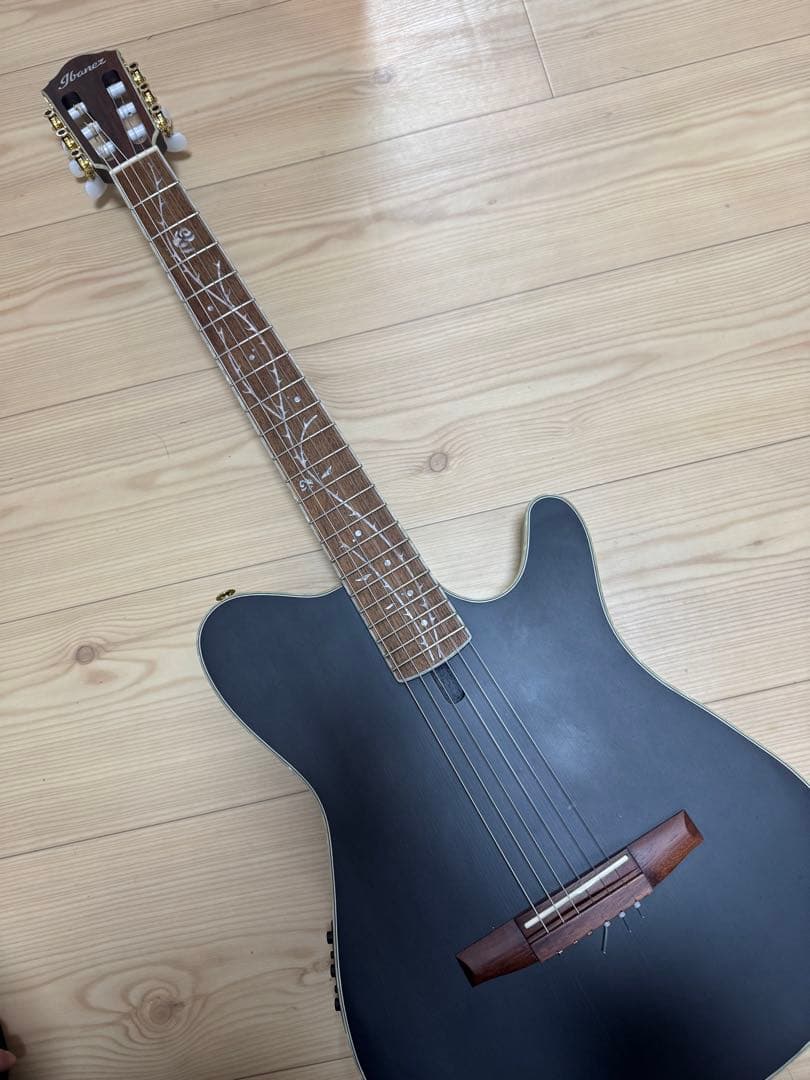 ギター Ibanez TOD10N
