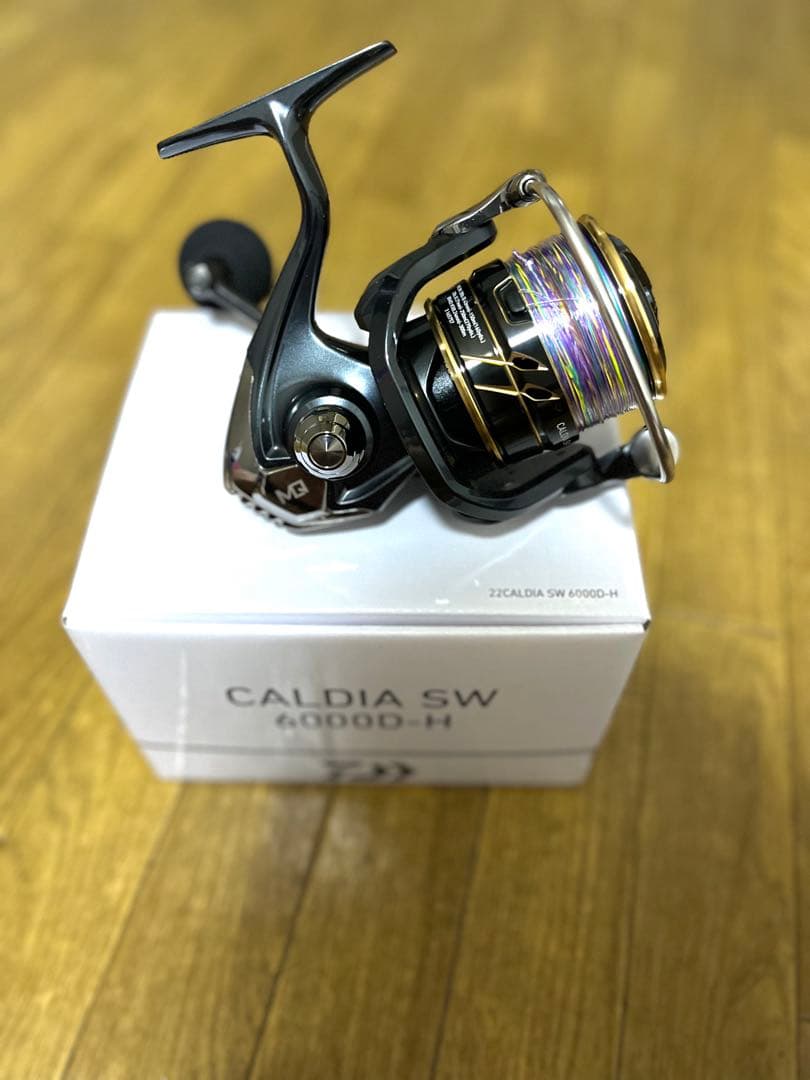 新品　CALDIA SW 6000D-H （PE3号付き）