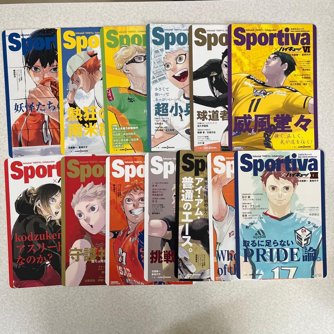 ハイキュー!! ショーセツバン 全巻 ビジュアルボード セット 13枚