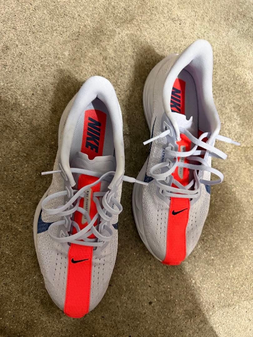 Nike ペガサス　プラス　27cm