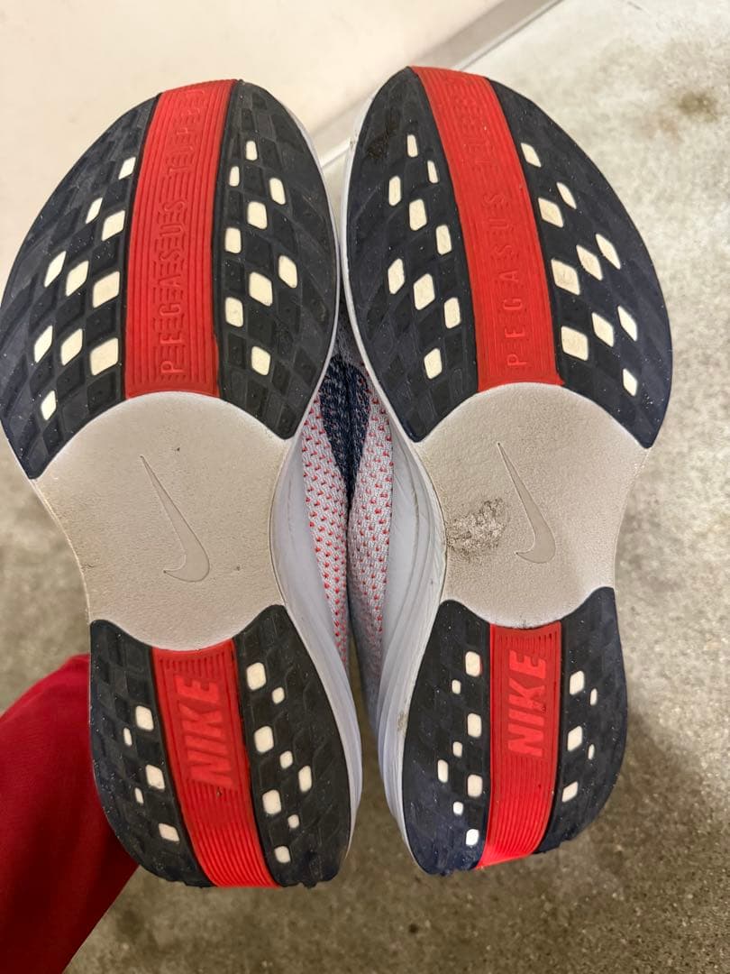 Nike ペガサス　プラス　27cm
