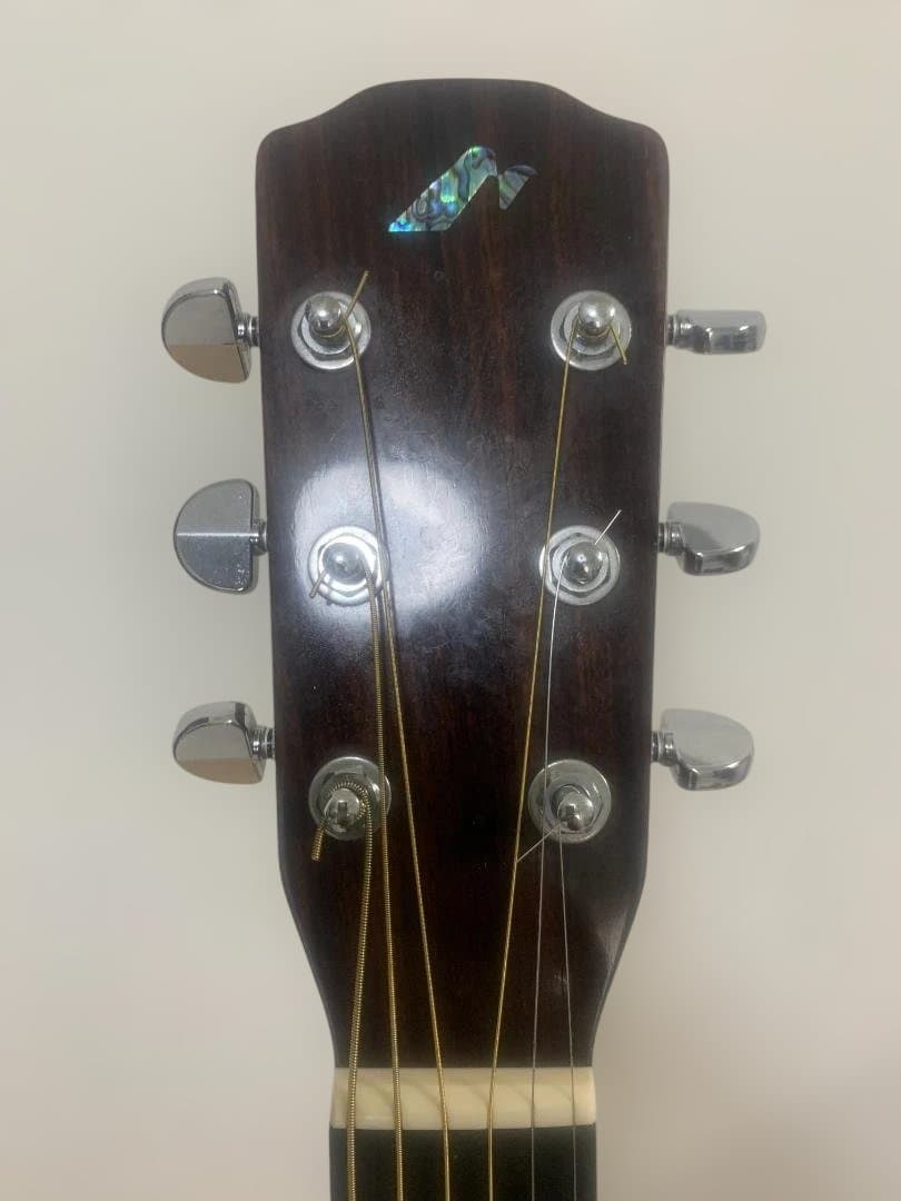 Morris M-80(NAT)【日本製 限定モデル アコースティックギター 】