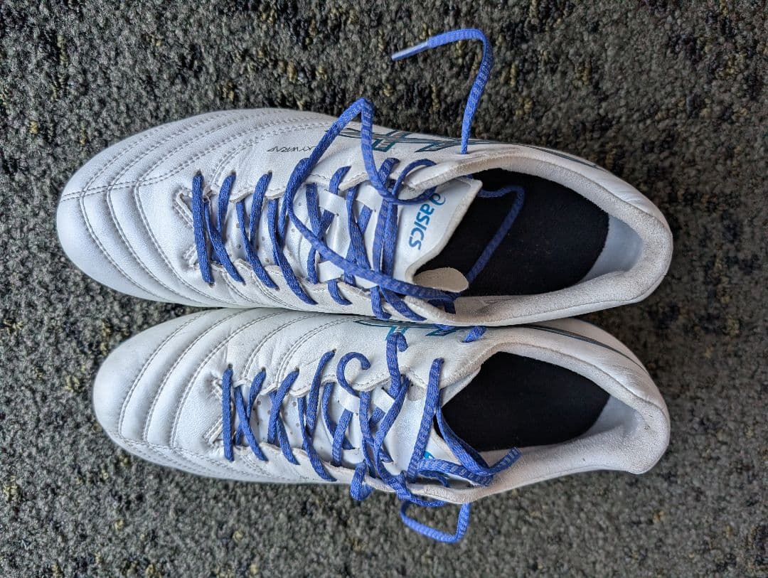 asic DS LIGHT X-FLY PRO 3　サイズ25.5cm