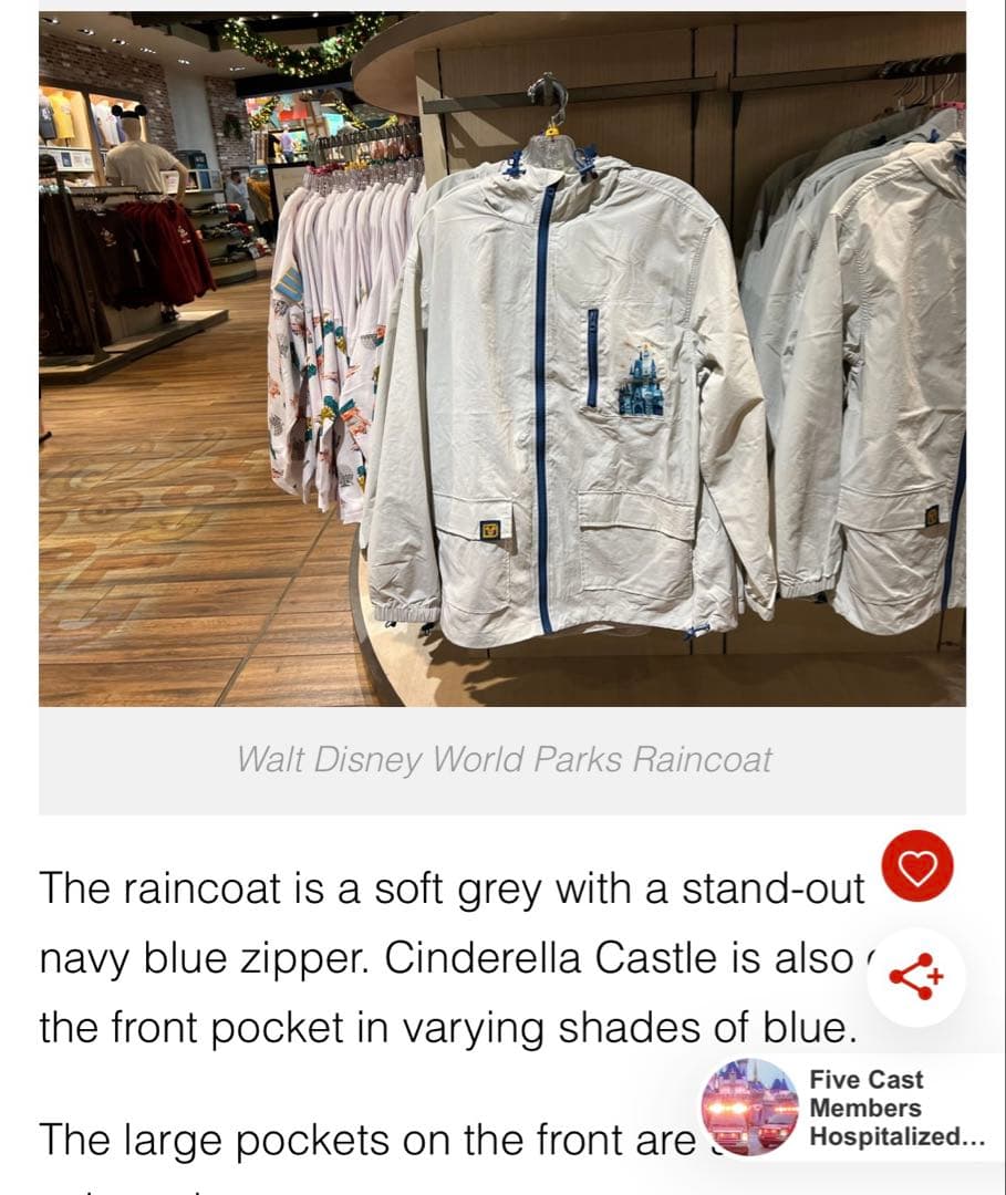 【美品】Walt Disney World 2024年製