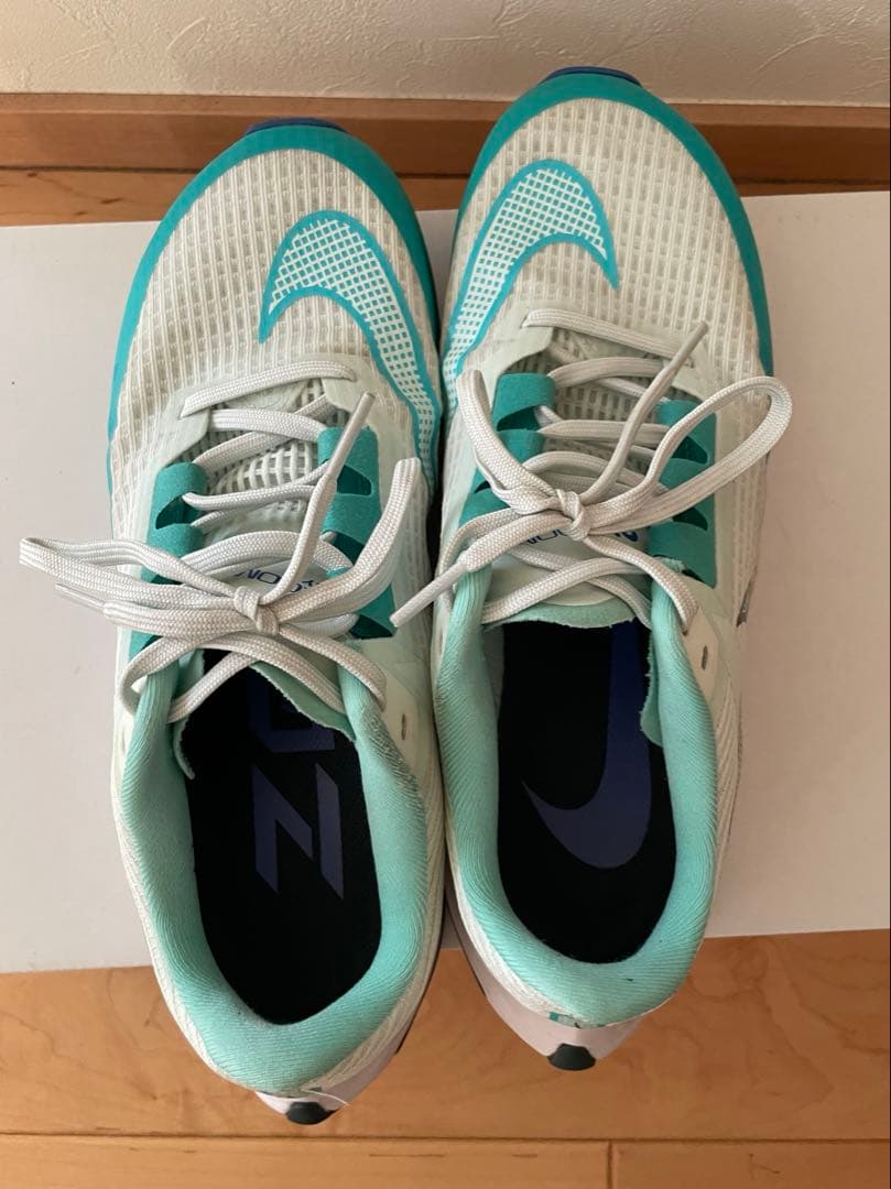 NIKE AIR ZOOM RIVAL FLY 3 エアズーム 26.0cm
