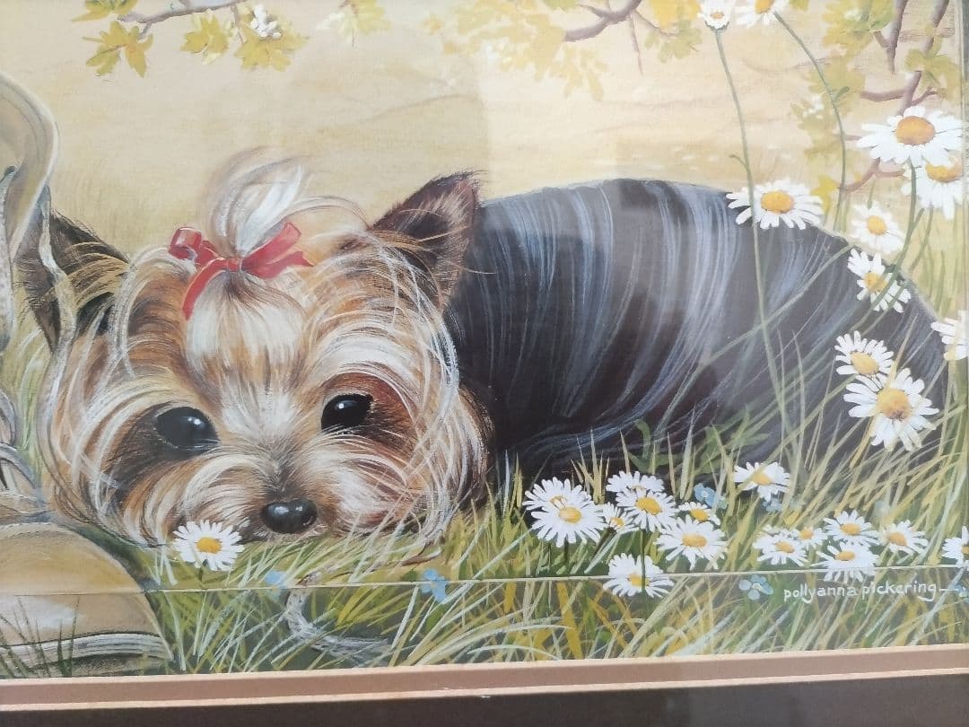 英ポリアンナ・ピカリング作 ヨークシャーテリア仔犬のプリントアート(特定の版画)