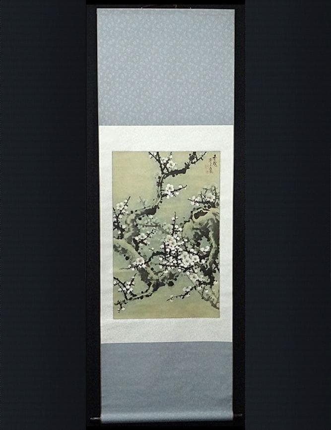 掛軸 在銘(作者不明)『白梅図』中国画 紙本 肉筆 箱付 掛け軸 w102210