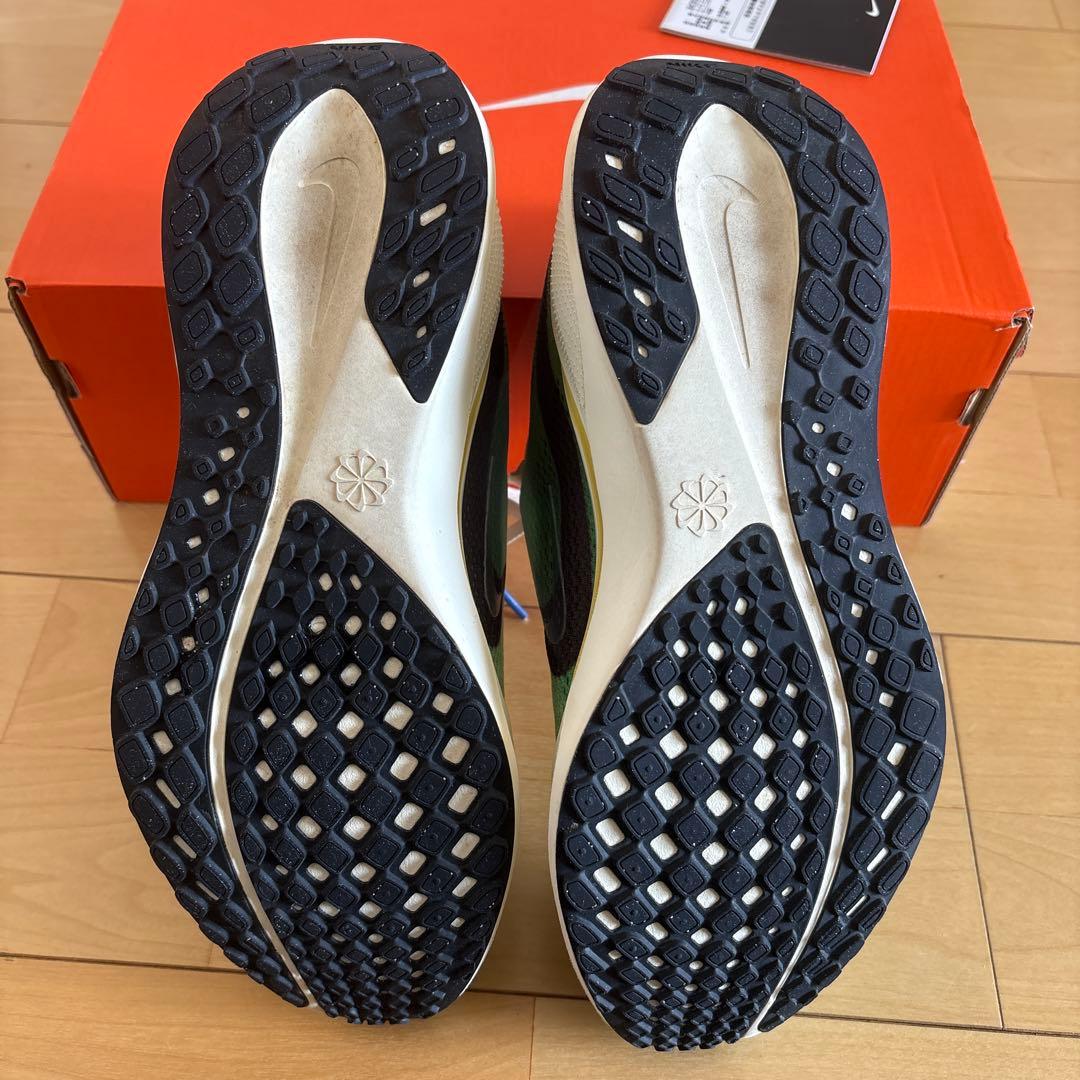ナイキ ペガサス 41 SE 26.0㎝