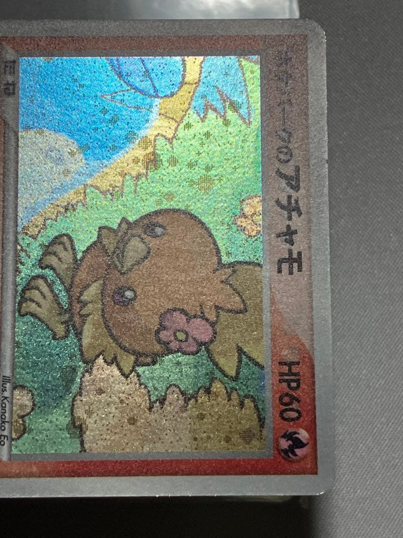 ポケパークのアチャモ プロモ 002/009